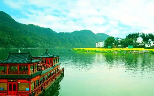 绿色绿色